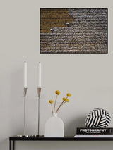 Cotton world Poster och Canvastavla