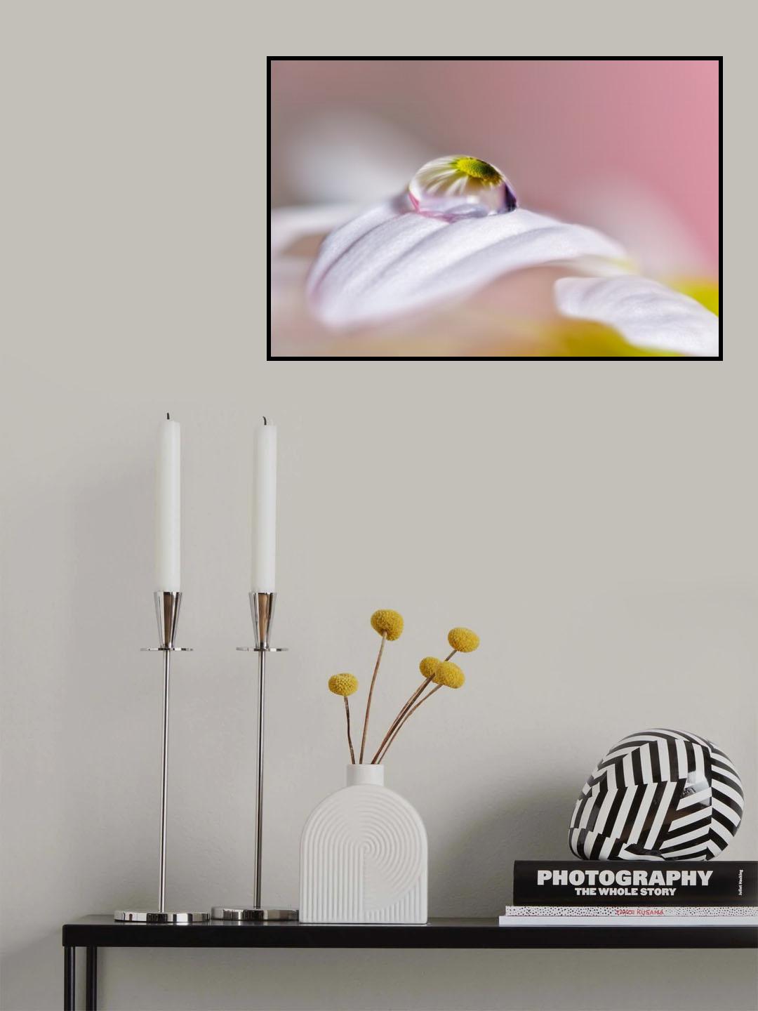Magical Drop Poster och Canvastavla