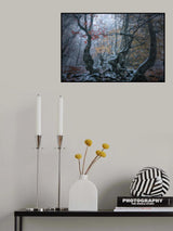 Late autumn Poster och Canvastavla