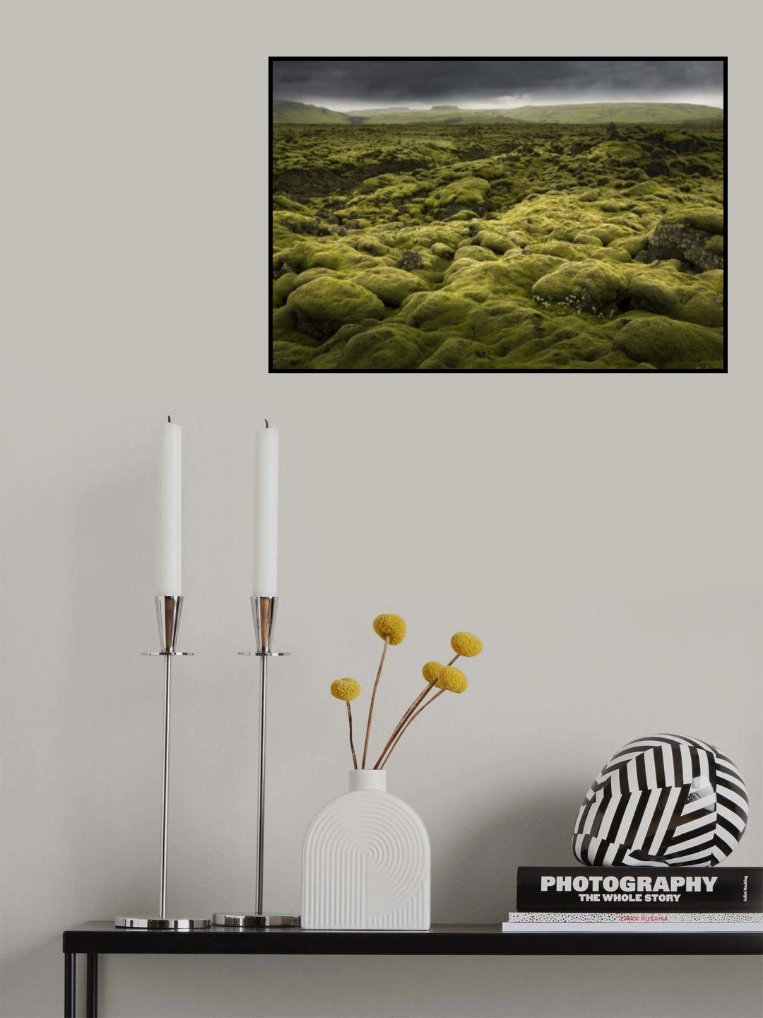 Islandmoos_III Poster och Canvastavla