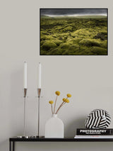 Islandmoos_III Poster och Canvastavla
