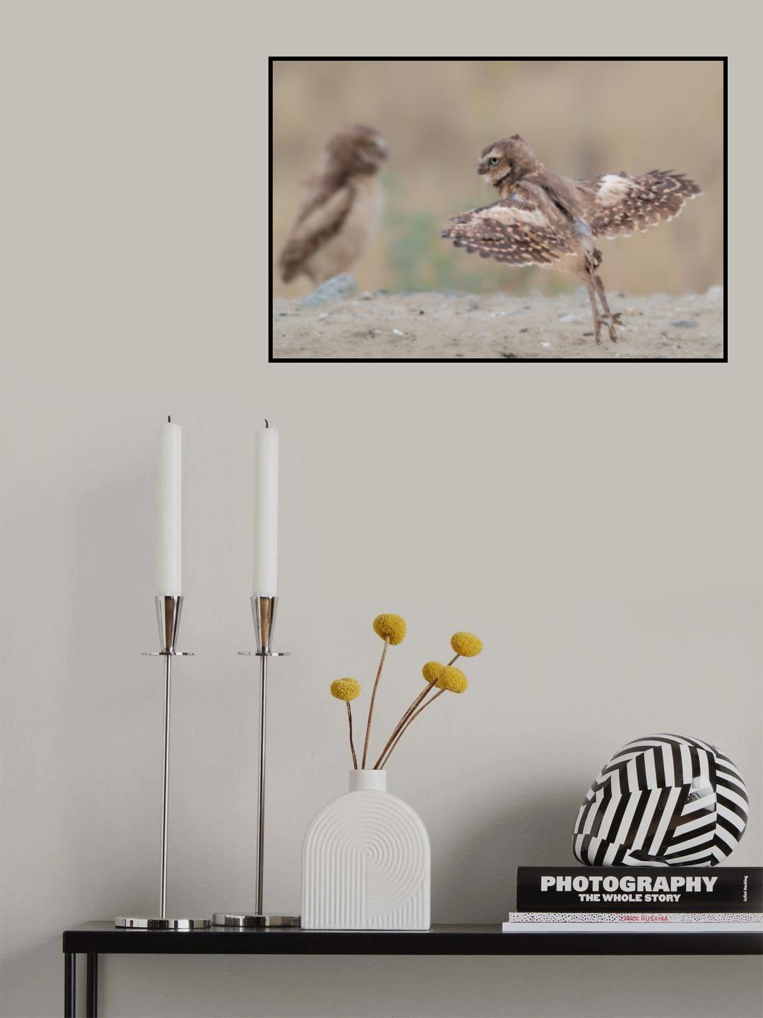 I want to fly Poster och Canvastavla