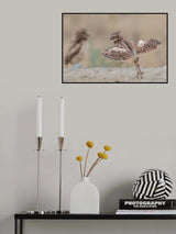 I want to fly Poster och Canvastavla