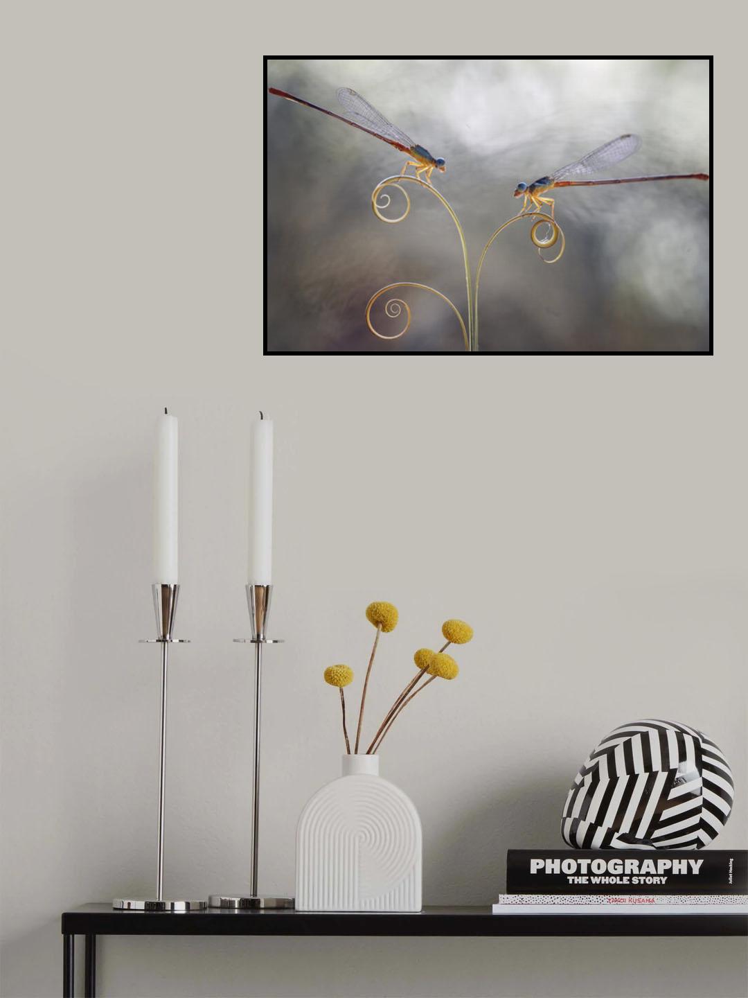 Romantic Damselflies Poster och Canvastavla