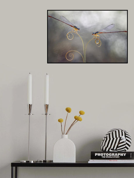 Romantic Damselflies Poster och Canvastavla