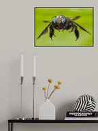 "Flight" Poster och Canvastavla