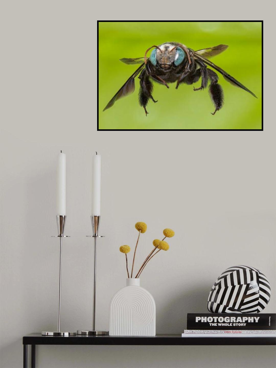 "Flight" Poster och Canvastavla