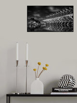 The Structure Poster och Canvastavla