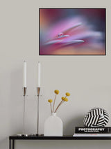 Sound Of Colors.. Poster och Canvastavla