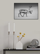 Alone in the Arctic wasteland Poster och Canvastavla
