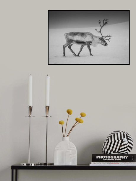 Alone in the Arctic wasteland Poster och Canvastavla