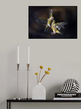 Flying Kiss 11 Poster och Canvastavla