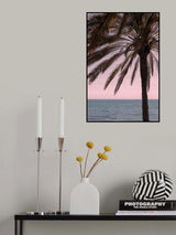 Palm_010 Poster och Canvastavla