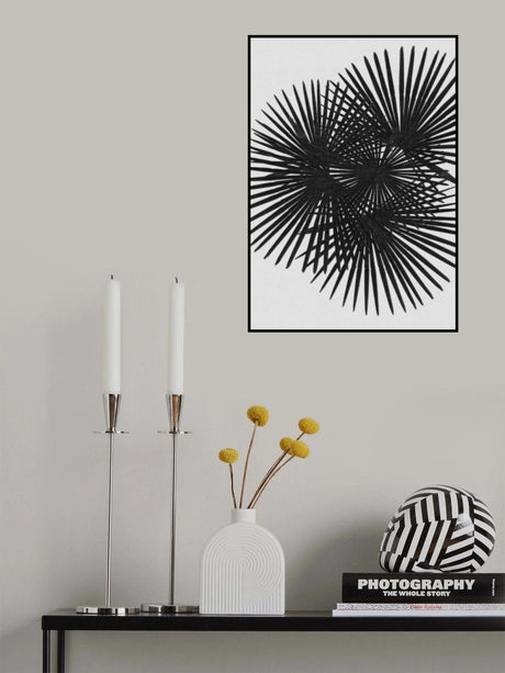 Fan Palm Black & White Poster och Canvastavla