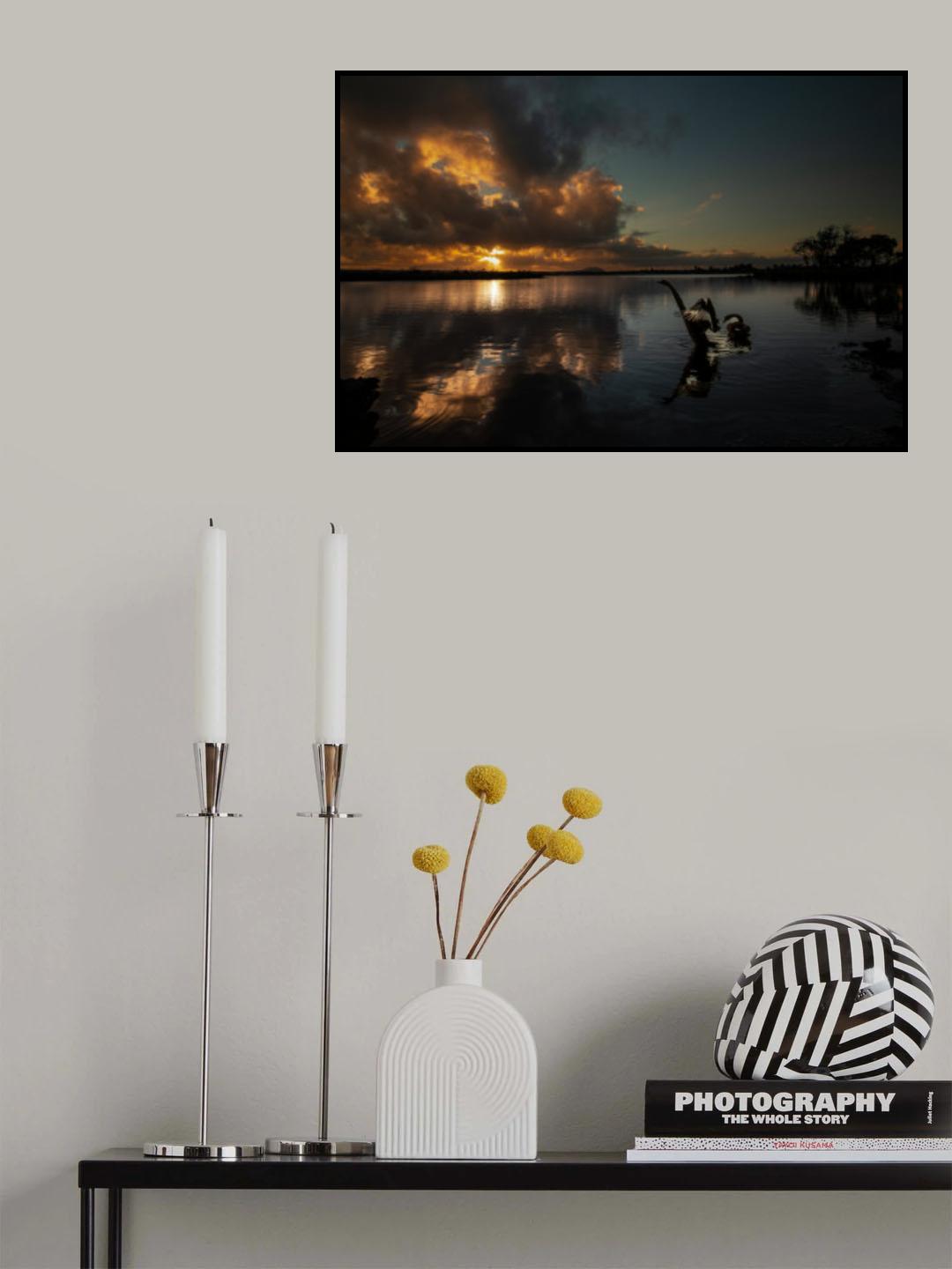 晨光起舞 Poster och Canvastavla
