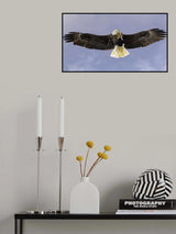 Snack Poster och Canvastavla