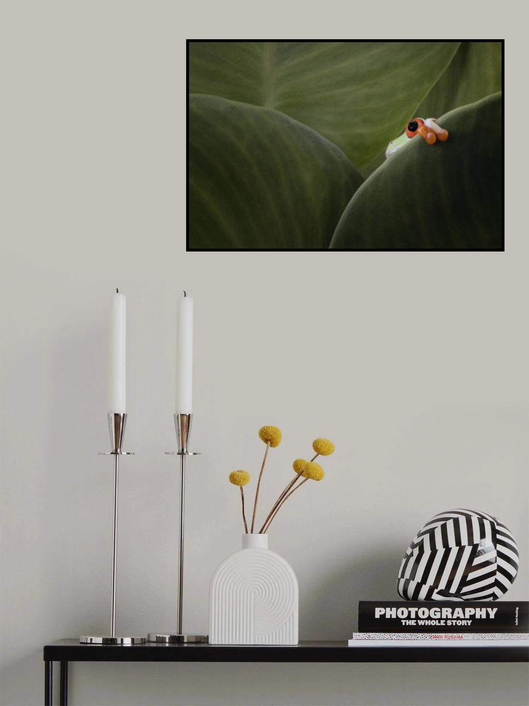 One eyes Poster och Canvastavla
