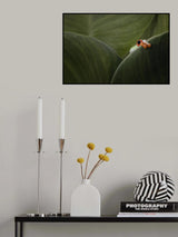 One eyes Poster och Canvastavla