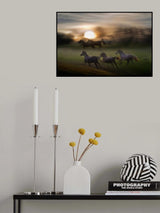 at night Poster och Canvastavla