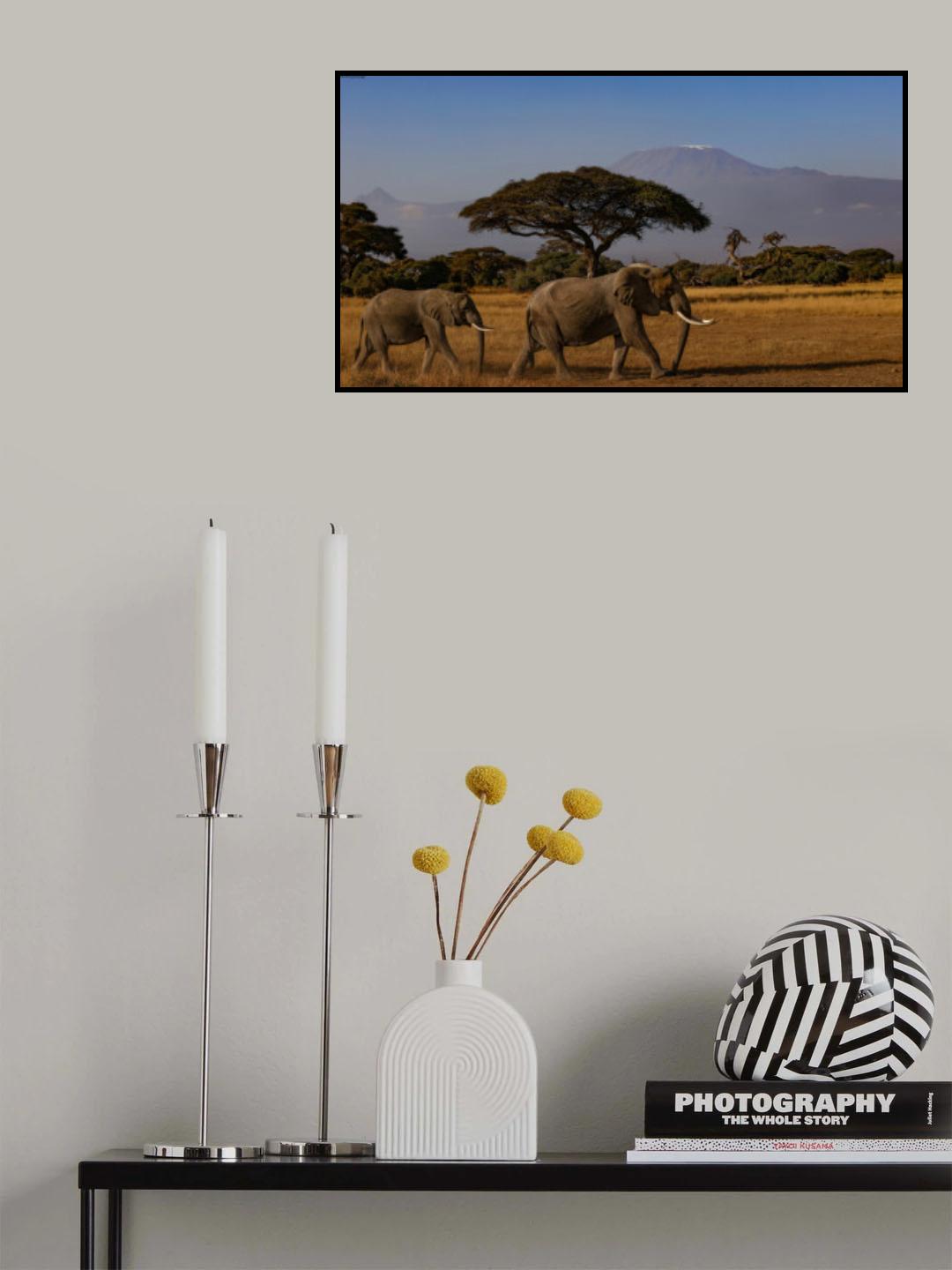Amboseli elephants Poster och Canvastavla