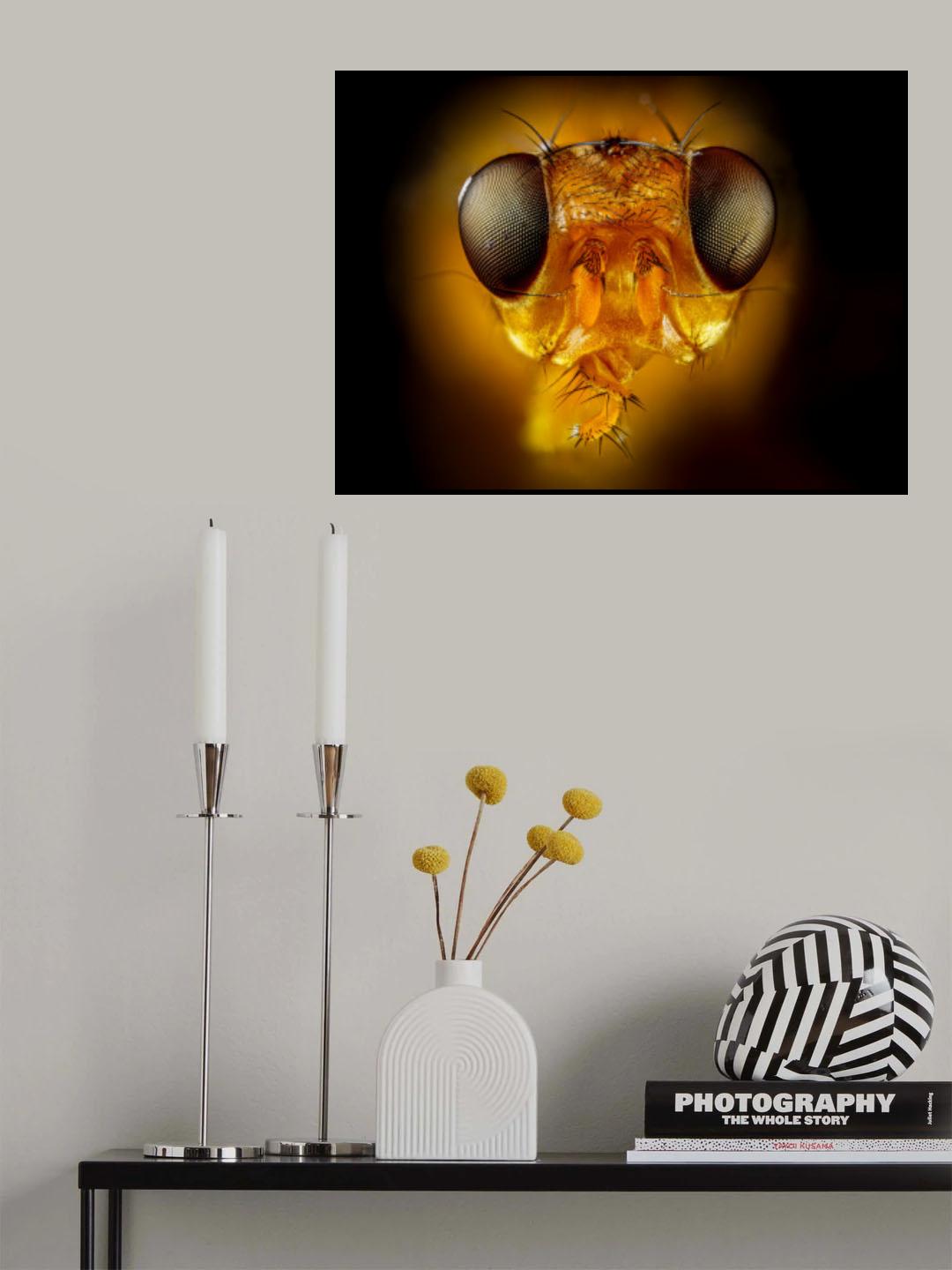 Orange Fly Poster och Canvastavla