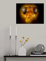 Orange Fly Poster och Canvastavla