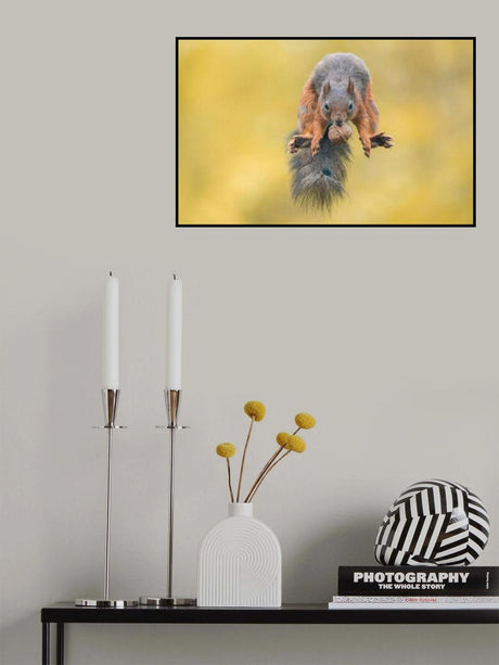 Cirque du Soleil Poster och Canvastavla
