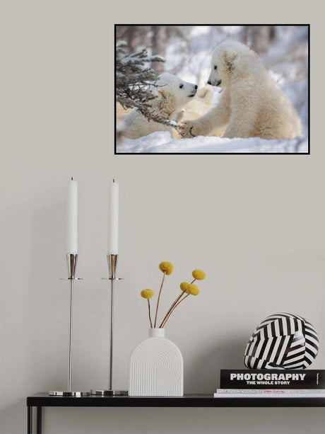 Conversation Poster och Canvastavla