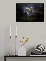Light echoes Poster och Canvastavla
