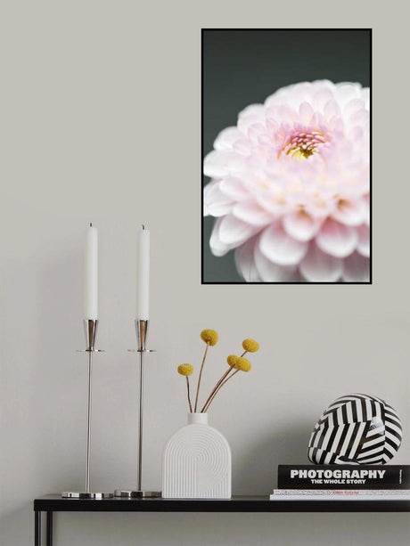 Pink Flower No1 Poster och Canvastavla