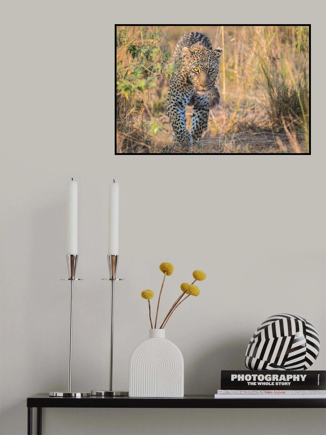 Beautiful and deadly Poster och Canvastavla