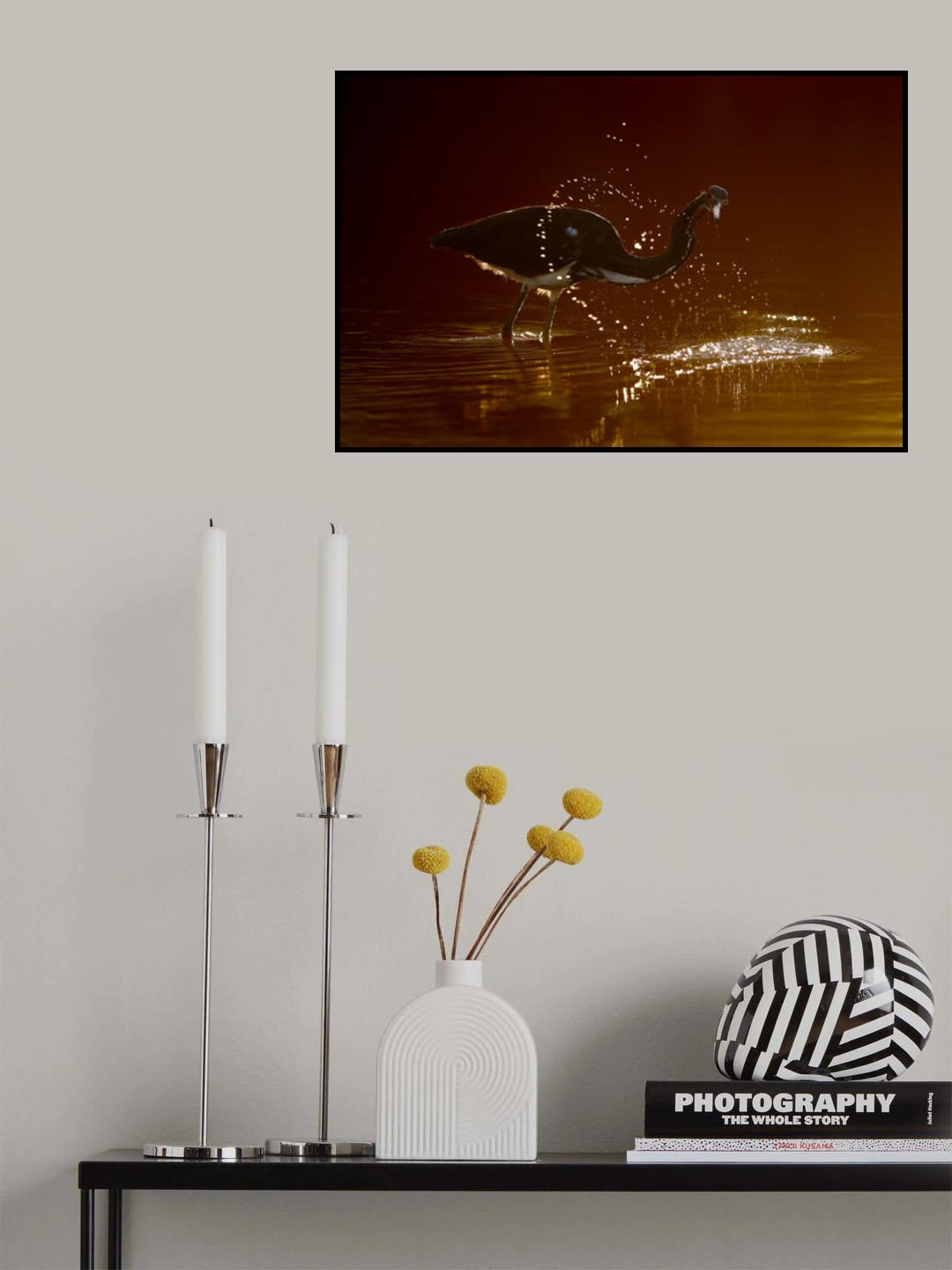 Raindrops Poster och Canvastavla