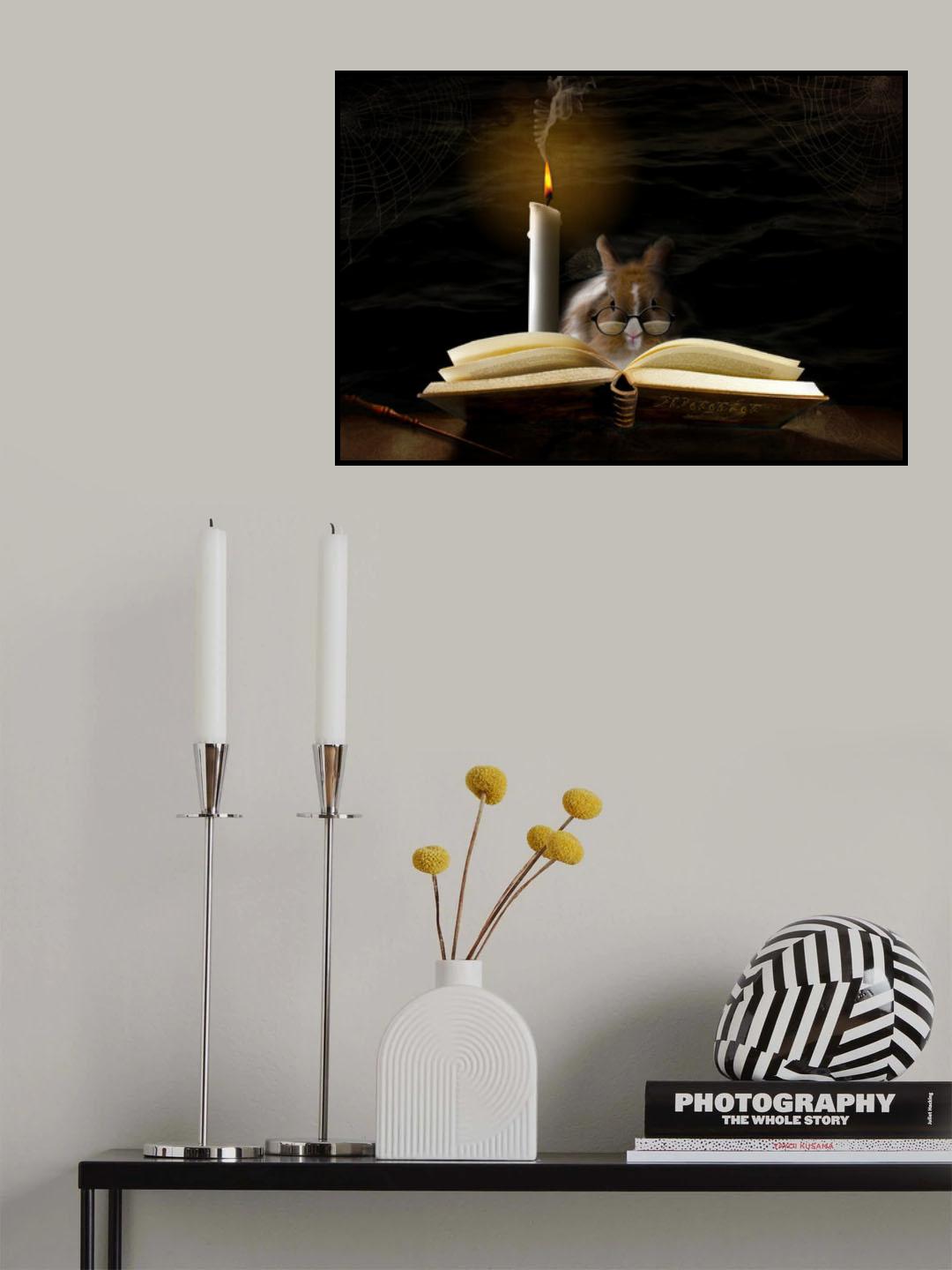 ...magician apprentice Poster och Canvastavla