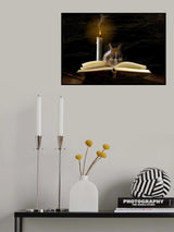 ...magician apprentice Poster och Canvastavla