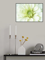 Bloom Quietly in Summer Poster och Canvastavla