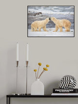 Cold Thread Poster och Canvastavla
