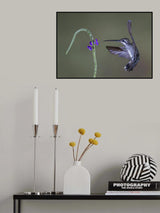 Parallel curves Poster och Canvastavla