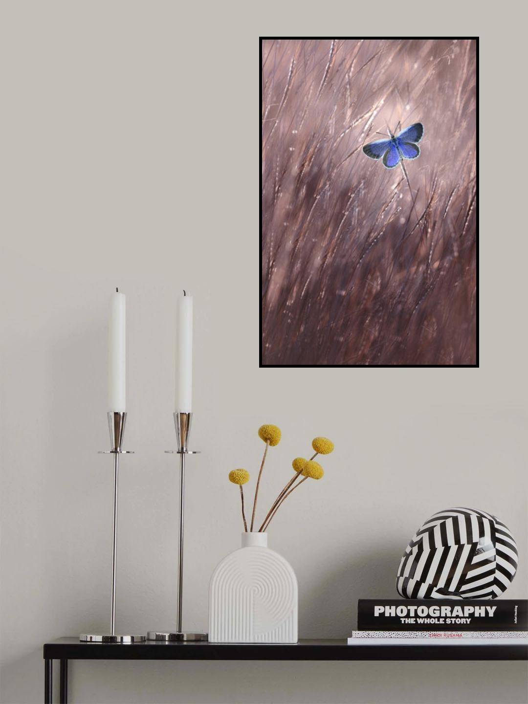 Beautiful Butterfly Poster och Canvastavla