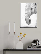 Giant Poster och Canvastavla