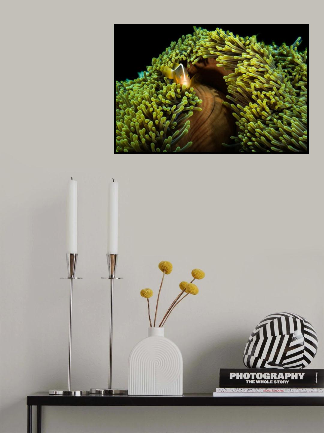 Symbiotic relation Poster och Canvastavla