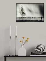arbor vitae Poster och Canvastavla