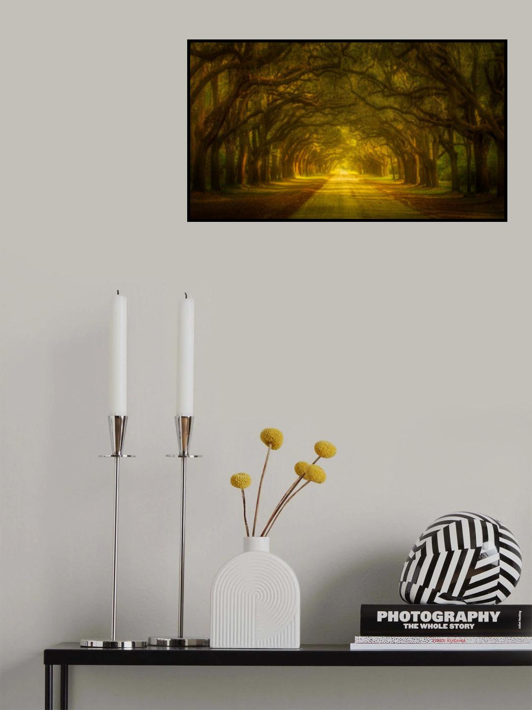 Mysterious Oak Trees Poster och Canvastavla