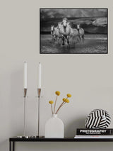 squadron Poster och Canvastavla