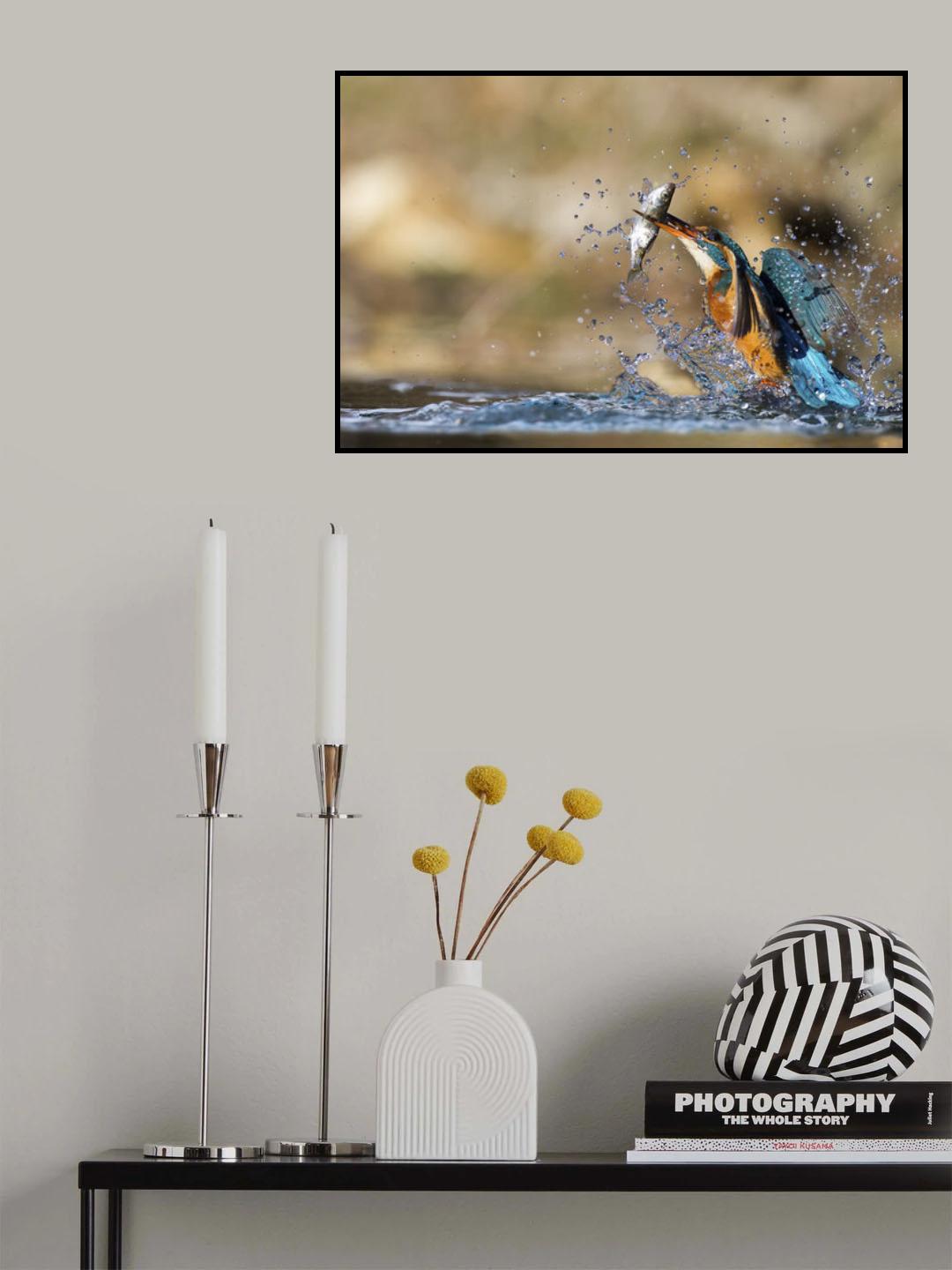 The queenfisher Poster och Canvastavla