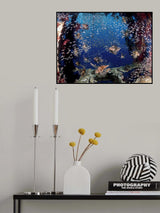 Lionfish party Poster och Canvastavla