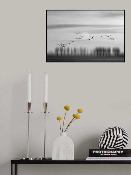 Flying free! Poster och Canvastavla