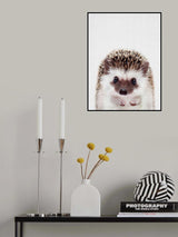 Peekaboo Hedgehog Poster och Canvastavla