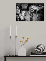 Poster och Canvastavla