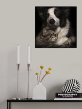 Peace is always possible Poster och Canvastavla