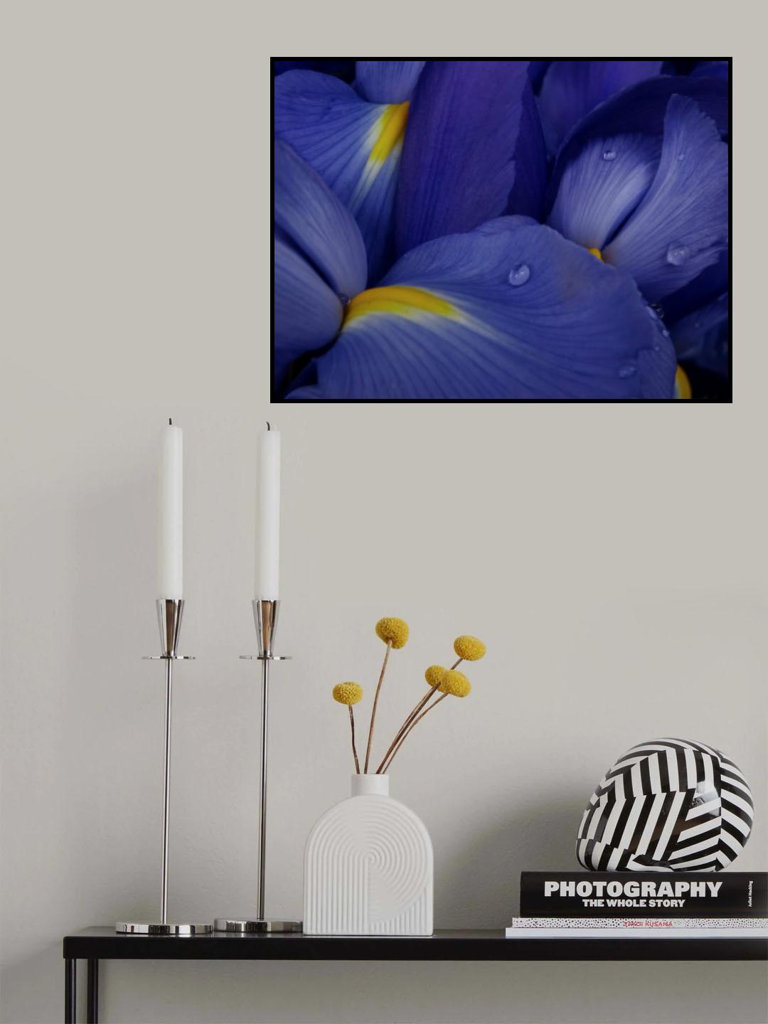Irises Poster och Canvastavla